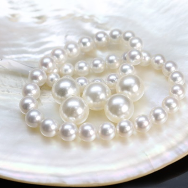 South Sea Pearl:Venus