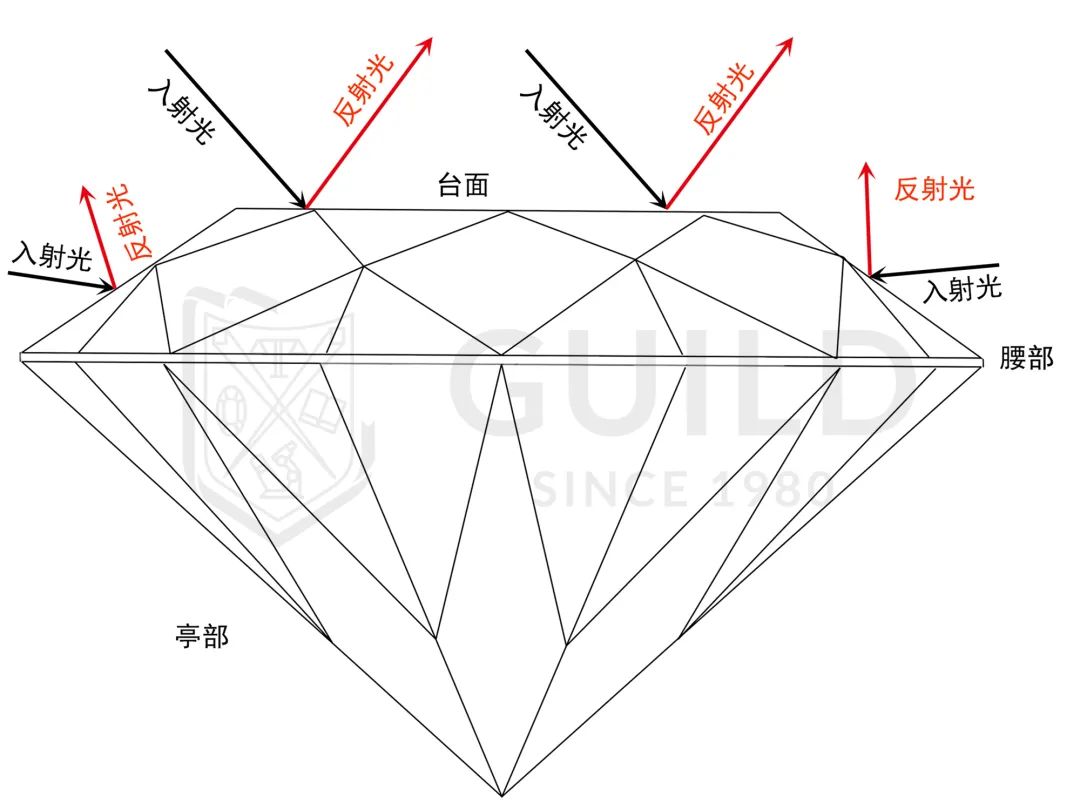 微信图片_20230303174905.jpg